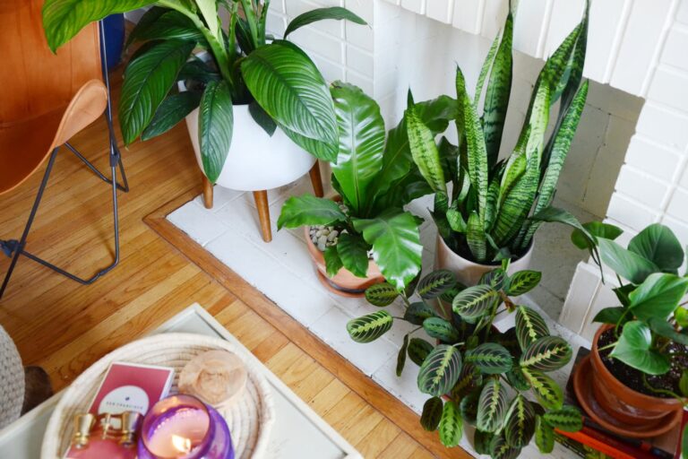 Questi armadi IKEA creano serre sorprendentemente buone per le tue piante