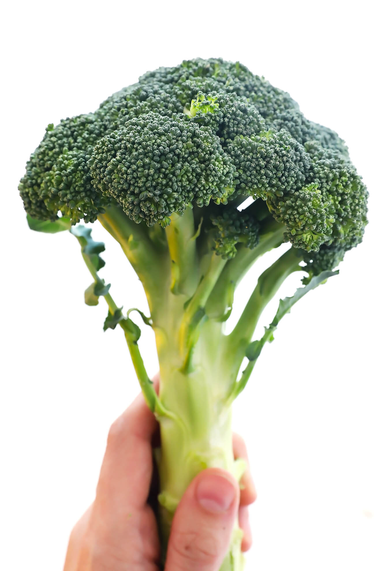 Come tagliare i broccoli: un video tutorial facile e veloce!  |  gimmesomeoven.com
